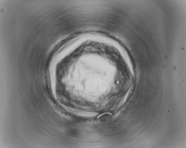 X0000071330345200607212012