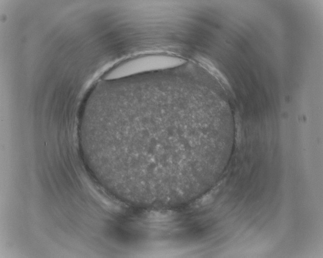 X0000071330346200607212012