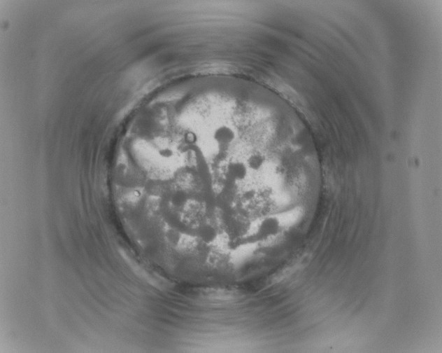 X0000071330347200607212013