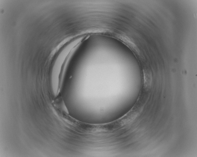 X0000071330348200607212013