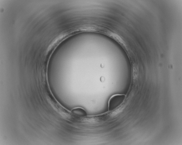 X0000071330349200607212013