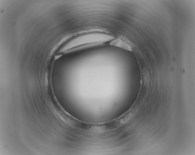 X0000071330350200607212013