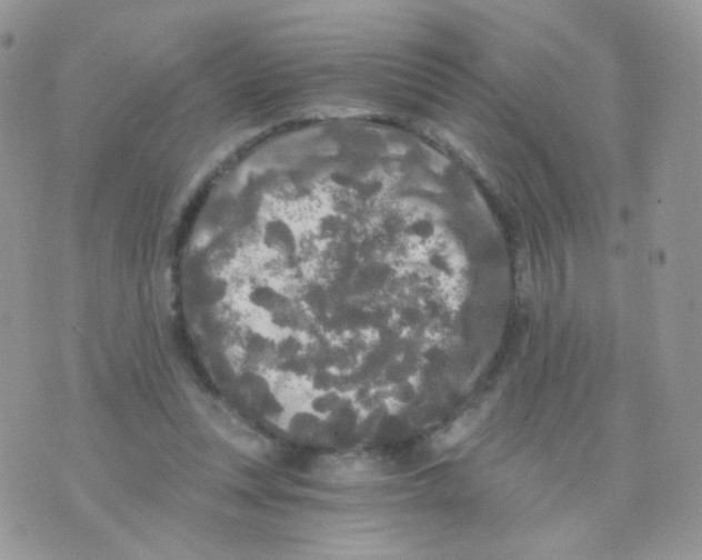 X0000071330351200607212013