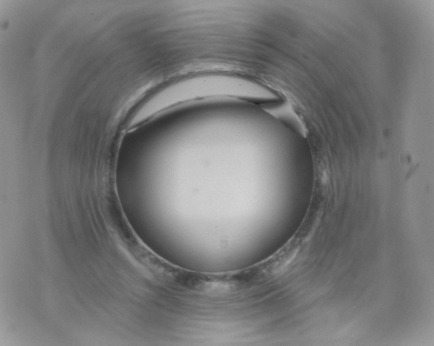 X0000071330352200607212013