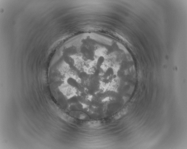 X0000071330353200607212013