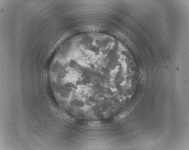 X0000071330355200607212013