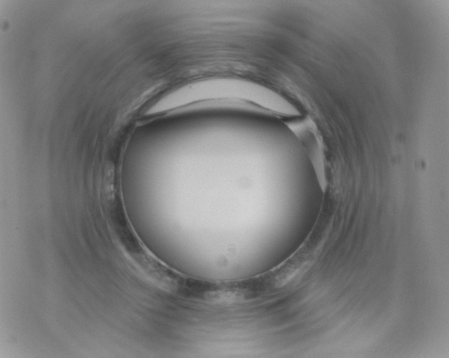 X0000071330356200607212013