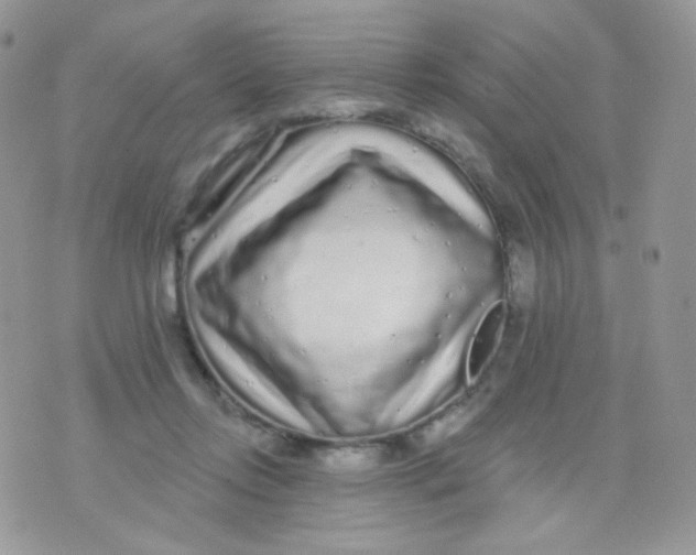 X0000071330358200607212013