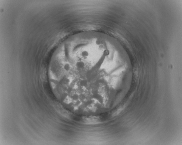 X0000071330359200607212013