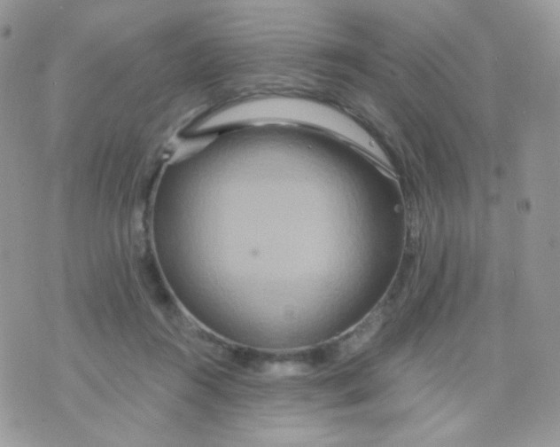 X0000071330360200607212013