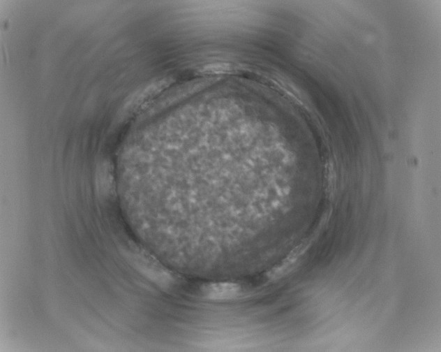 X0000071330361200607212013