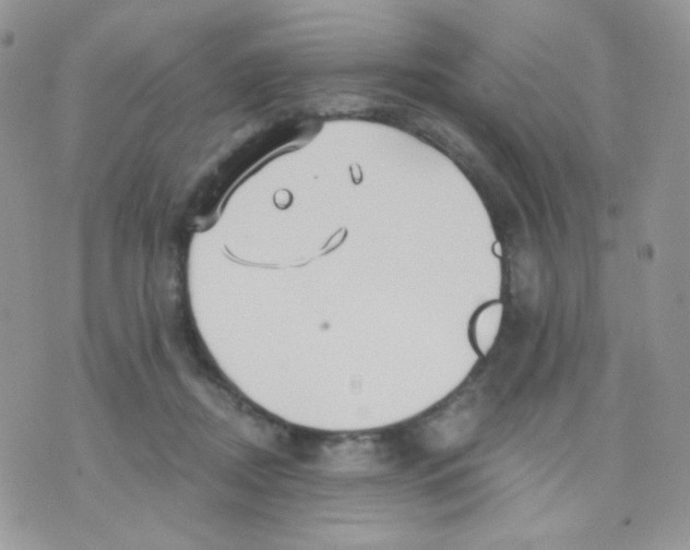 X0000071330362200607212013