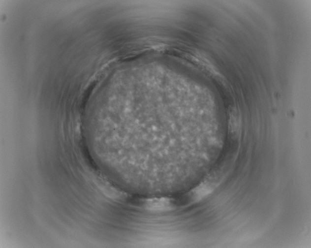 X0000071330363200607212013