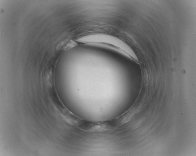 X0000071330364200607212013