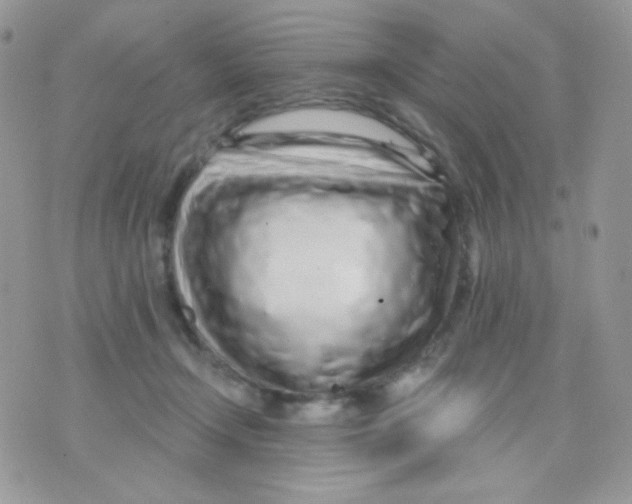 X0000071330366200607212013