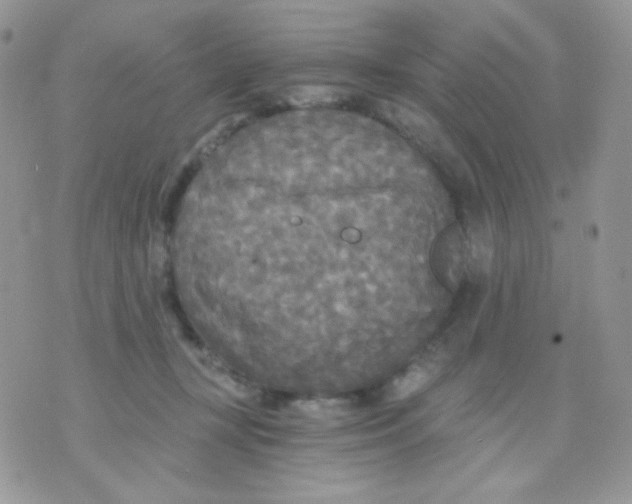 X0000071330367200607212013