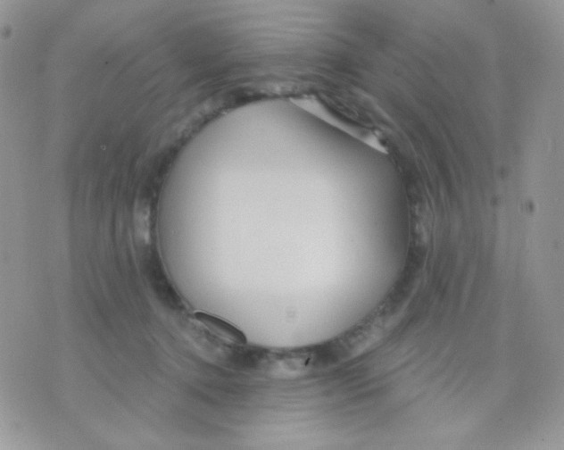 X0000071330368200607212013