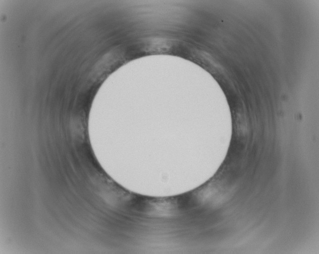 X0000071330370200607212013