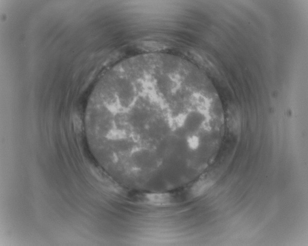 X0000071330371200607212013