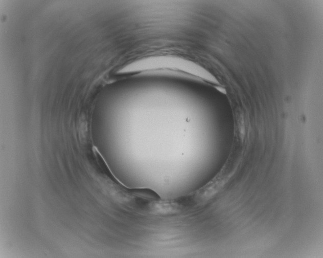 X0000071330372200607212013