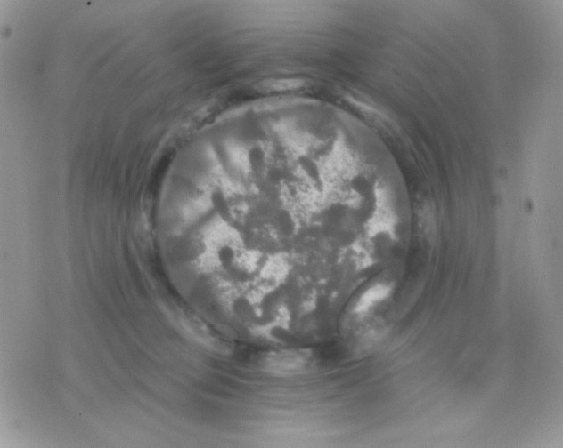 X0000071330373200607212013