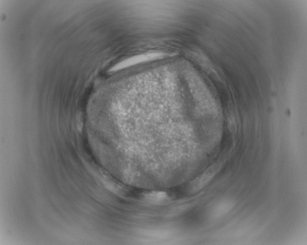 X0000071330374200607212013