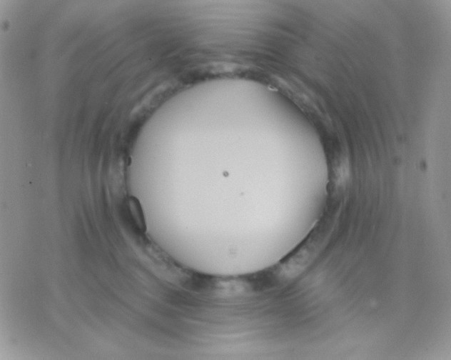 X0000071330376200607212013