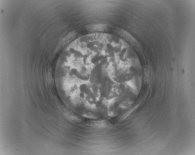 X0000071330377200607212013