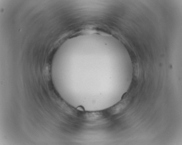 X0000071330378200607212013