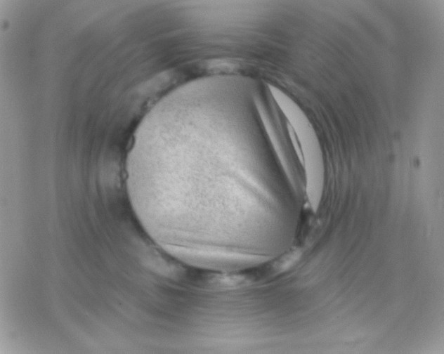 X0000071330379200607212013