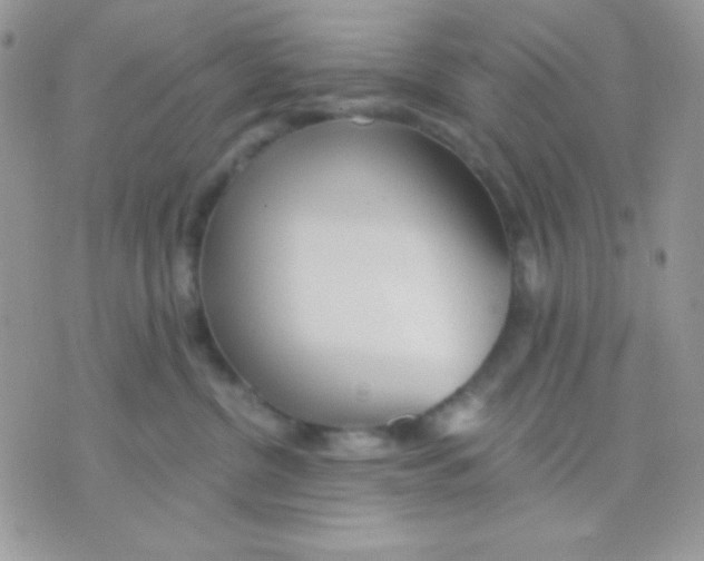 X0000071330380200607212013