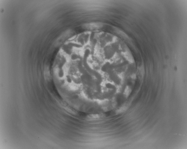 X0000071330381200607212013