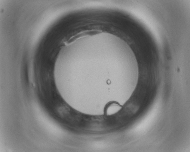 X0000071330382200607212013