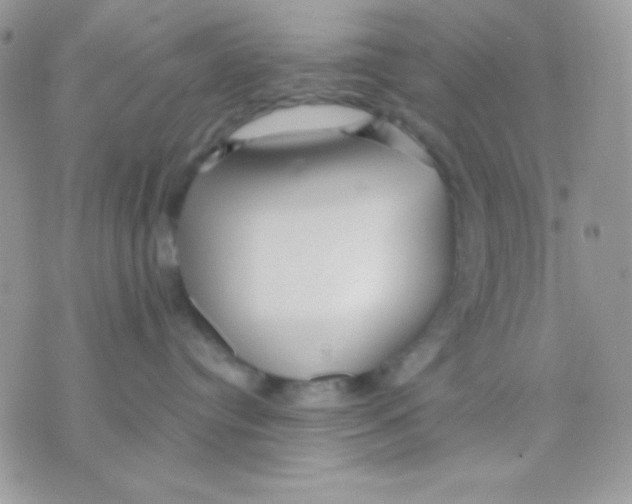 X0000071330384200607212013