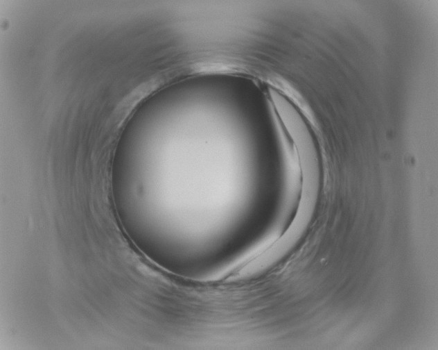 X0000071330385200607212012