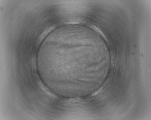 X0000071330386200607212012