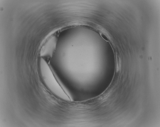 X0000071330387200607212012