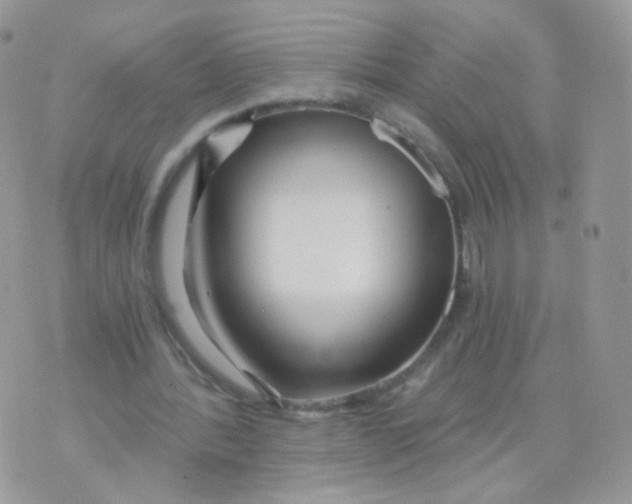 X0000071330388200607212012