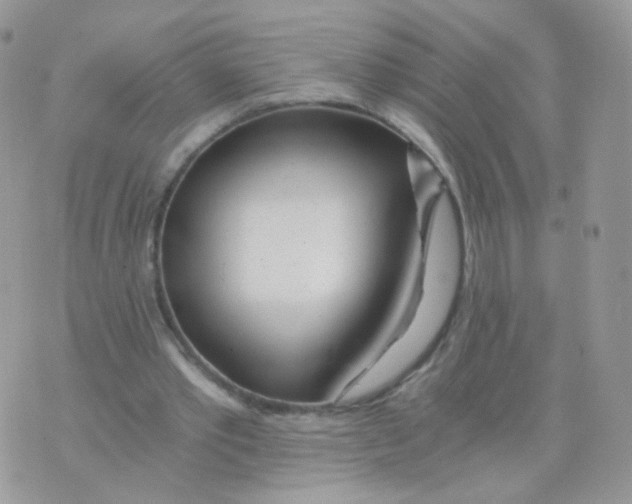 X0000071330389200607212012