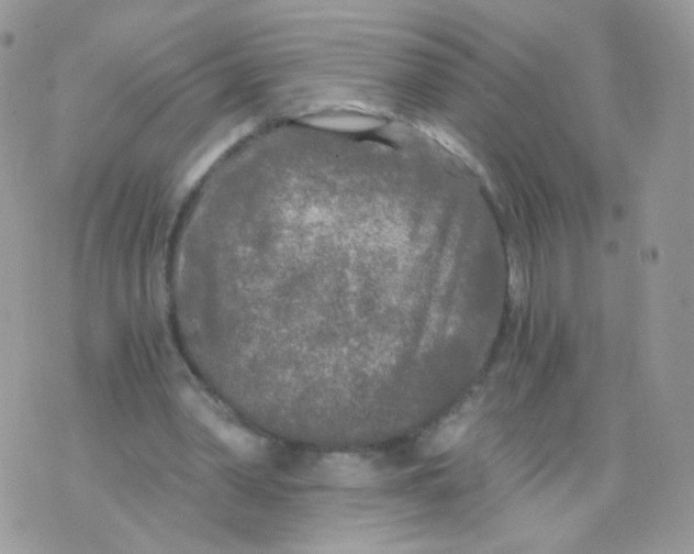 X0000071330390200607212012