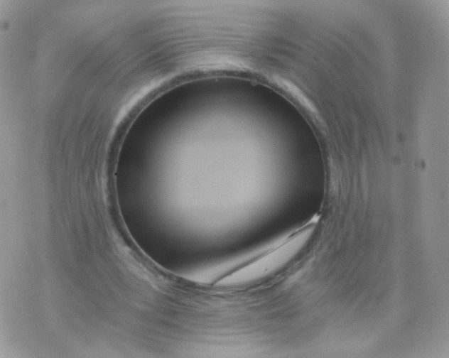 X0000071330391200607212012