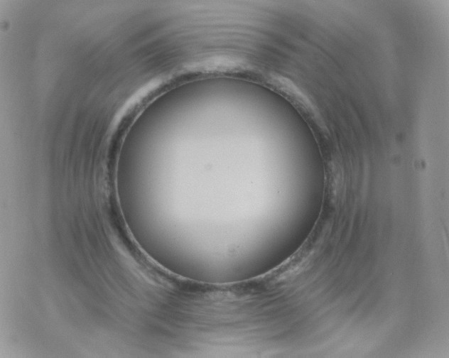 X0000071330392200607212012