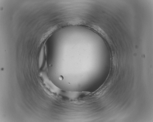 X0000071330393200607212012