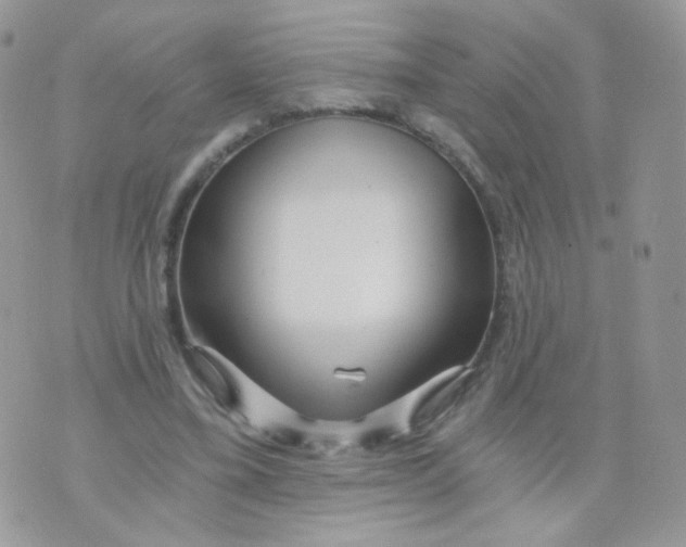 X0000071330395200607212012