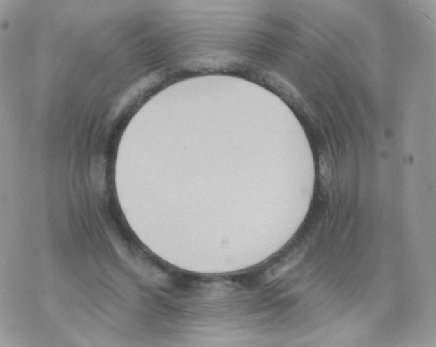 X0000071330396200607212012