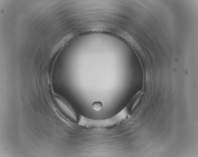 X0000071330397200607212012