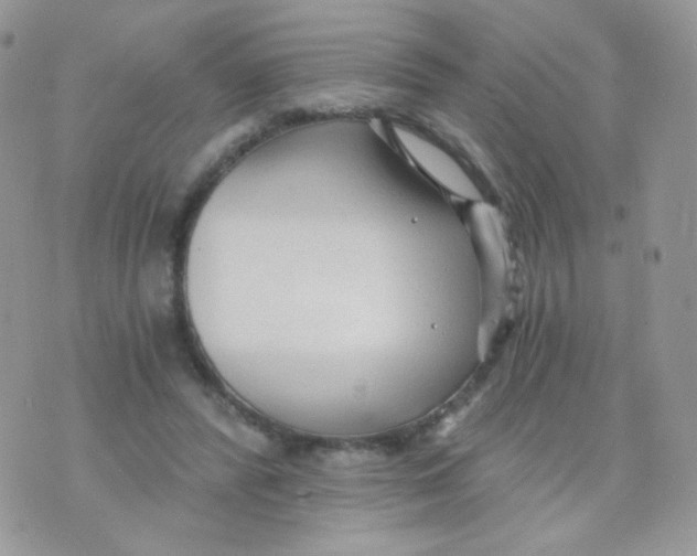 X0000071330400200607212012