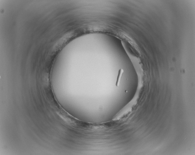 X0000071330401200607212012