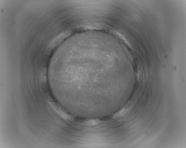 X0000071330402200607212012