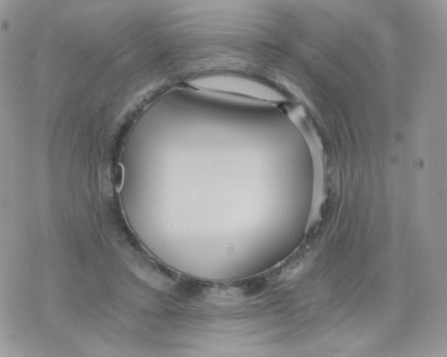 X0000071330403200607212012